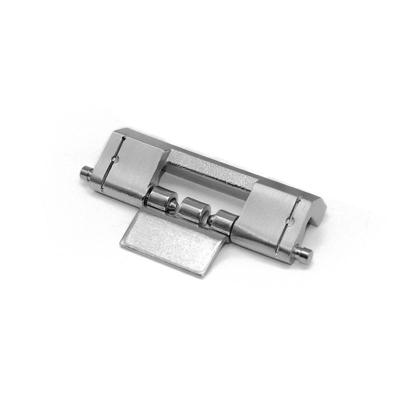CL201-2S ​​1300 N Radiallast 1200 N Axiallast Edelstahlscharniere