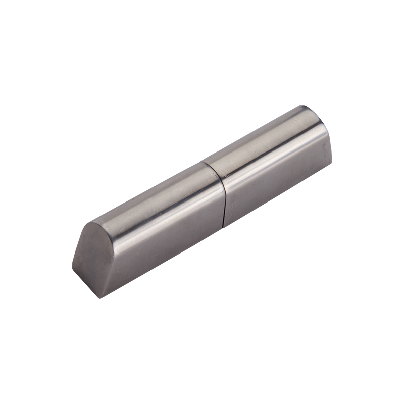 CL204-4 Industriescharniere aus hochglanzpoliertem Edelstahl