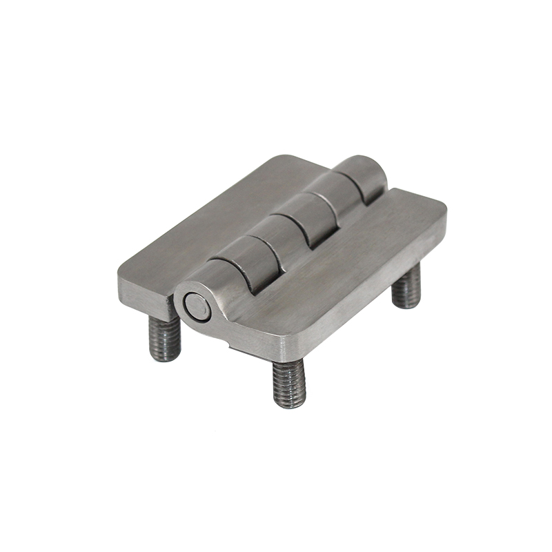 CL209-1S Scharniere aus gebürstetem und poliertem Edelstahl mit Stift