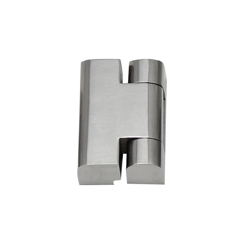 CL219-2S 54 g 100 Stück Scharniere aus gebürstetem, poliertem Edelstahl mit Stift