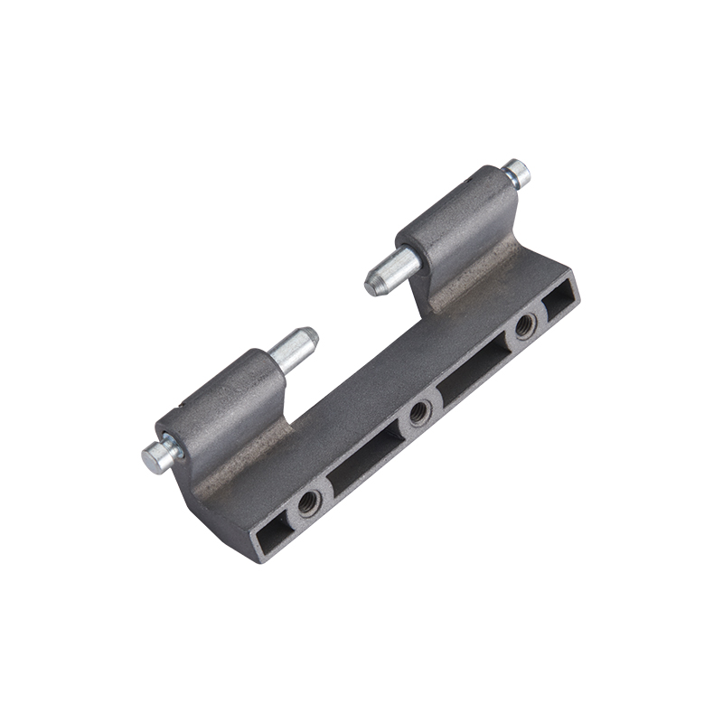 CL201-2S ​​1300 N Radiallast 1200 N Axiallast Edelstahlscharniere
