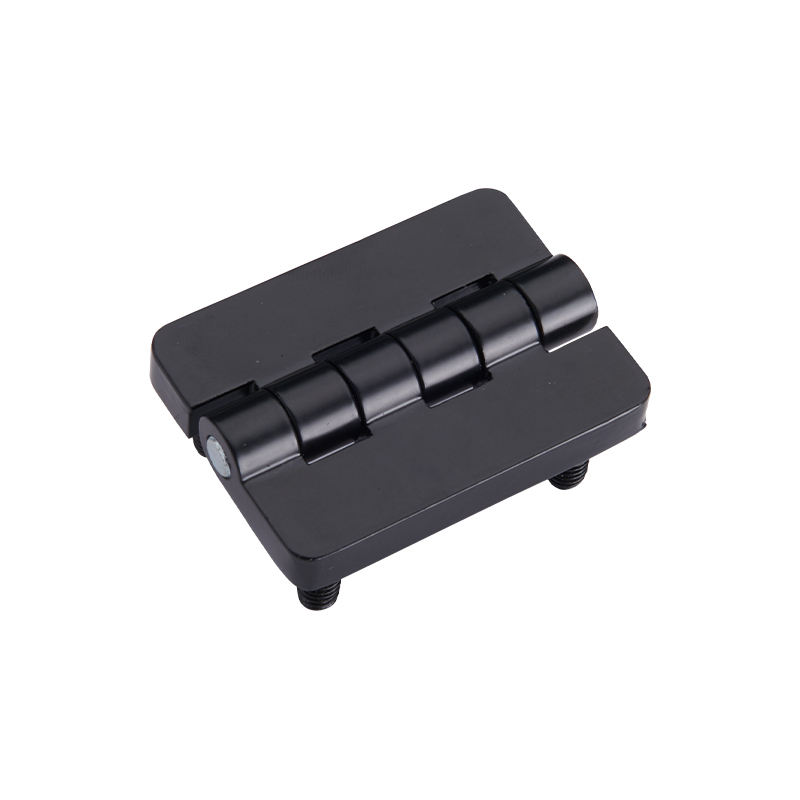 CL209-1S Scharniere aus gebürstetem und poliertem Edelstahl mit Stift
